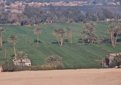 Minya